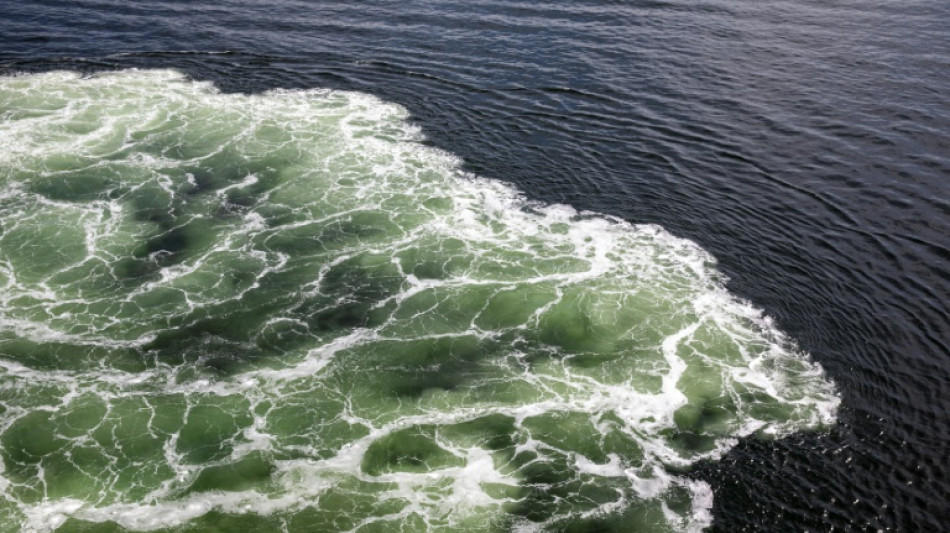 Anklage in Berlin: 65-Jähriger soll Freund vor schwedischer Küste ertränkt haben