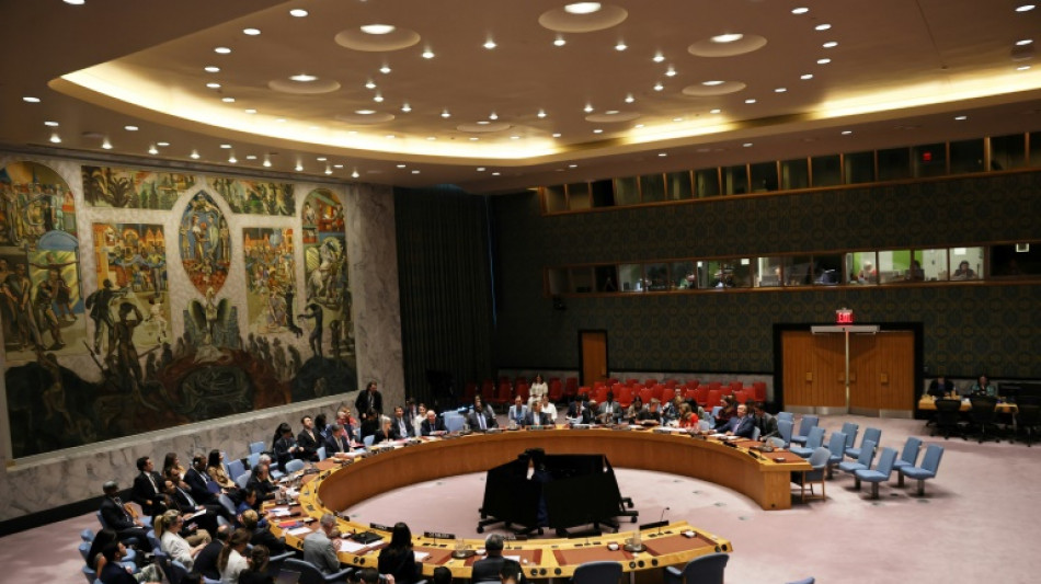 UN-Sicherheitsrat berät über Russlands Luftraumverletzung in Estland