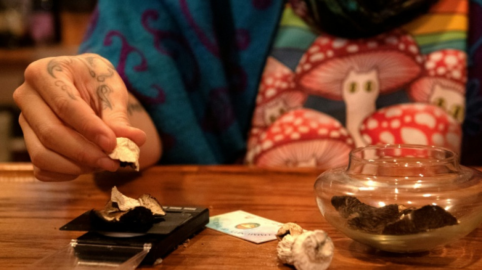 &iquest;Y si los psicod&eacute;licos ayudaran a combatir los efectos nocivos de la quimioterapia?