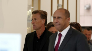 Bleues: Renard pr&eacute;sent &agrave; la FFF en attendant sa nomination au poste de s&eacute;lectionneur 