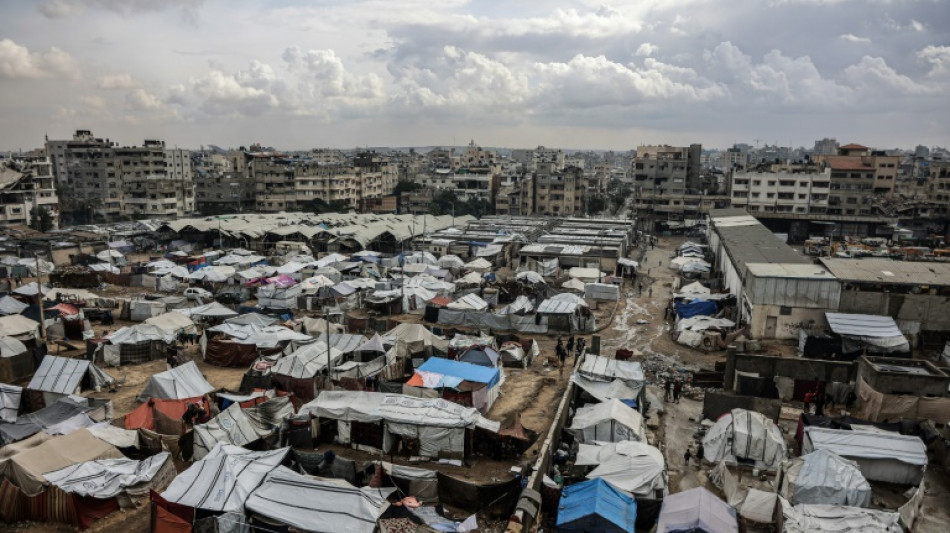 Israel hails Trump Gaza plan after UN Security Council vote