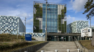 In Berlin festgenommener libyscher Milizenführer erscheint vor Haager Strafgerichtshof