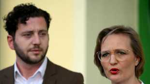 Brantner und Banaszak ermuntern Gr&uuml;ne zu mehr Debatten - vor Start von Parteitag