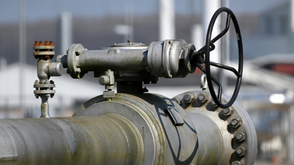 Gewerkschaften kritisieren Heizungsgesetz - Industrie reagiert verhalten