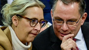 AfD-Spitze begr&uuml;&szlig;t Zusammenarbeit mit EVP im EU-Parlament