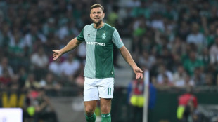 Dortmund sign  Fuellkrug from Werder Bremen