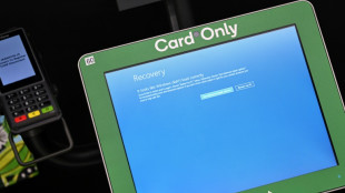 Une panne informatique g&eacute;ante paralyse de nombreuses entreprises dans le monde