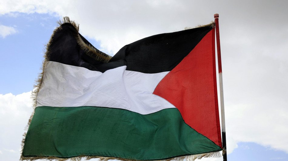 Blitz pro Pal in aula, interrotta lezione in Ateneo Pisa