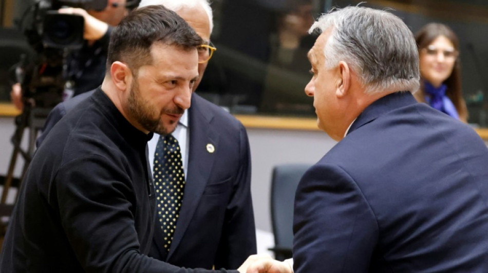 Emboldened by Trump, Hungary ups anti-Kyiv disinfo: researcher
