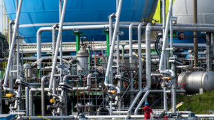 EU embargo on Russian oil, gas will take 'months'