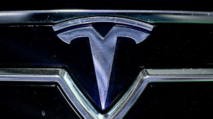 Ações da Tesla caem em Wall Street após lançamento do partido de Musk