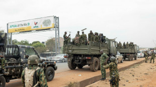Jihadists in Nigeria turn to TikTok to spread propaganda