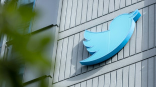 Musk l&auml;sst Twitter-Nutzer &uuml;ber Entsperrung von Trumps Profil abstimmen