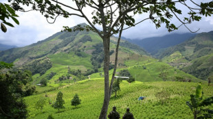 USA betrachten Kolumbien nicht mehr als Verbündeten im Anti-Drogen-Kampf