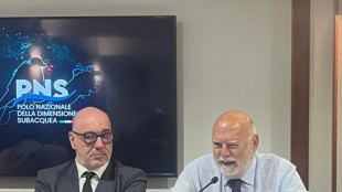 Gozzi, 'decarbonizzazione ex Ilva impossibile in tempi brevi'
