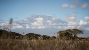 Tanzanie: l'incendie sur le Kilimandjaro est "maîtrisé", selon les autorités