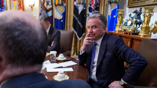 Witkoff, accordo tra Mosca e Kiev per lo scambio di 314 prigionieri