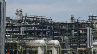 Nigeria refinery aims to be world's biggest with expansion