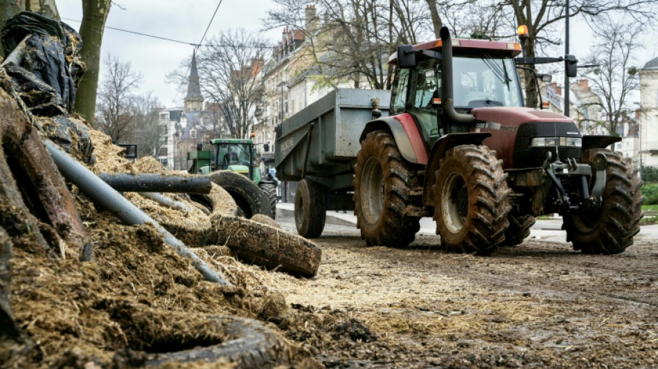 Zölle: Europäische Bauern fordern Gespräche und warnen vor Handelskrieg