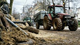 Zölle: Europäische Bauern fordern Gespräche und warnen vor Handelskrieg