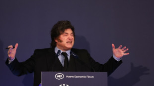 Milei irrumpe en la campa&ntilde;a electoral espa&ntilde;ola llamando "dictador" a S&aacute;nchez 