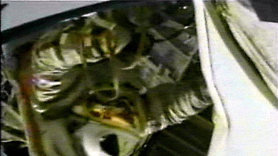 Molecole naturali per frenare l'invecchiamento degli astronauti