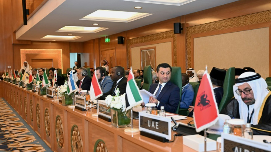 Muslim nations endorse alternative to Trump's Gaza takeover plan