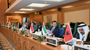 Pa&iacute;ses isl&aacute;micos adoptan plan &aacute;rabe para reconstruir Gaza como alternativa a la idea de Trump
