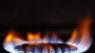 Il prezzo del gas sale a 89,10 euro al megawattora