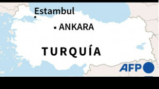 Turqu&iacute;a enfrenta casi un centenar de incendios en el sur y oeste del pa&iacute;s