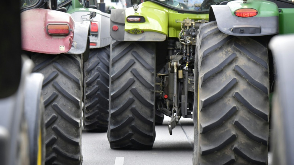 Menschen stürzen von Traktoranhänger: Vier teils schwer Verletzte