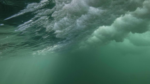 La Norv&egrave;ge va repousser de 4 ans les activit&eacute;s mini&egrave;res sous-marines